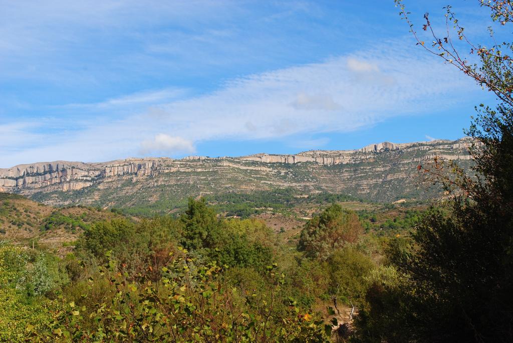 Masia El Riscle - Moli Del Pont Cornudella de Montsant