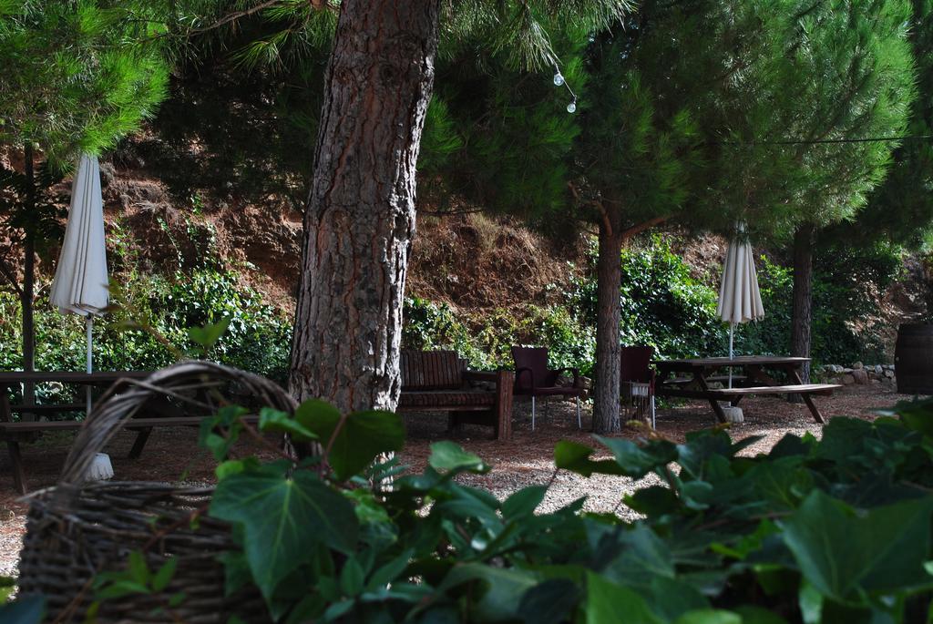 Masia El Riscle - Moli Del Pont Landhaus *